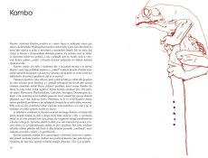 Kniha Dovol si TO - Jan Allister