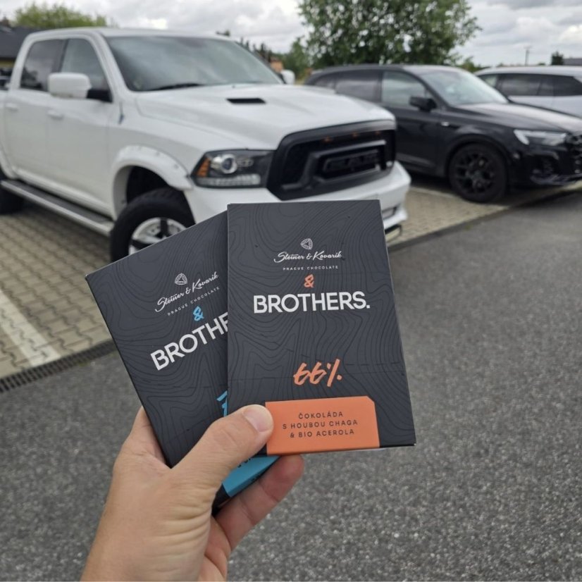 BIO Čokoláda BROTHERS. 77 %  Lion's Mane & BIO borůvky (70 g)